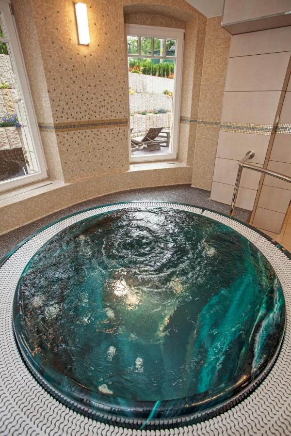 פולניסה-ז'דוז' Villa Alina Medical Spa מראה חיצוני תמונה